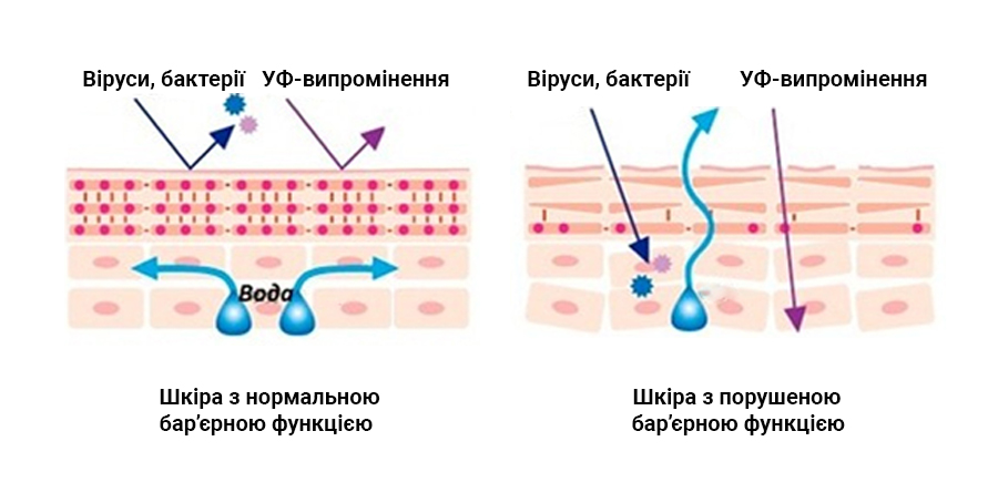 Памятка самодиагностика молочной железы. Воронка молокоотсоса по размеру. Чувствительность аппарата. Повысилась чувствительность сосков. Повысилась чувствительность сосков.